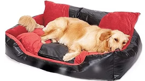 Pet Beds and Furniture