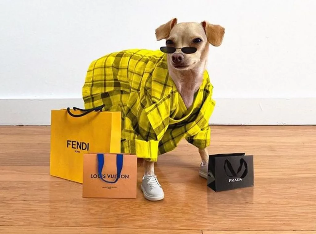 Pet Clothing and Fashion