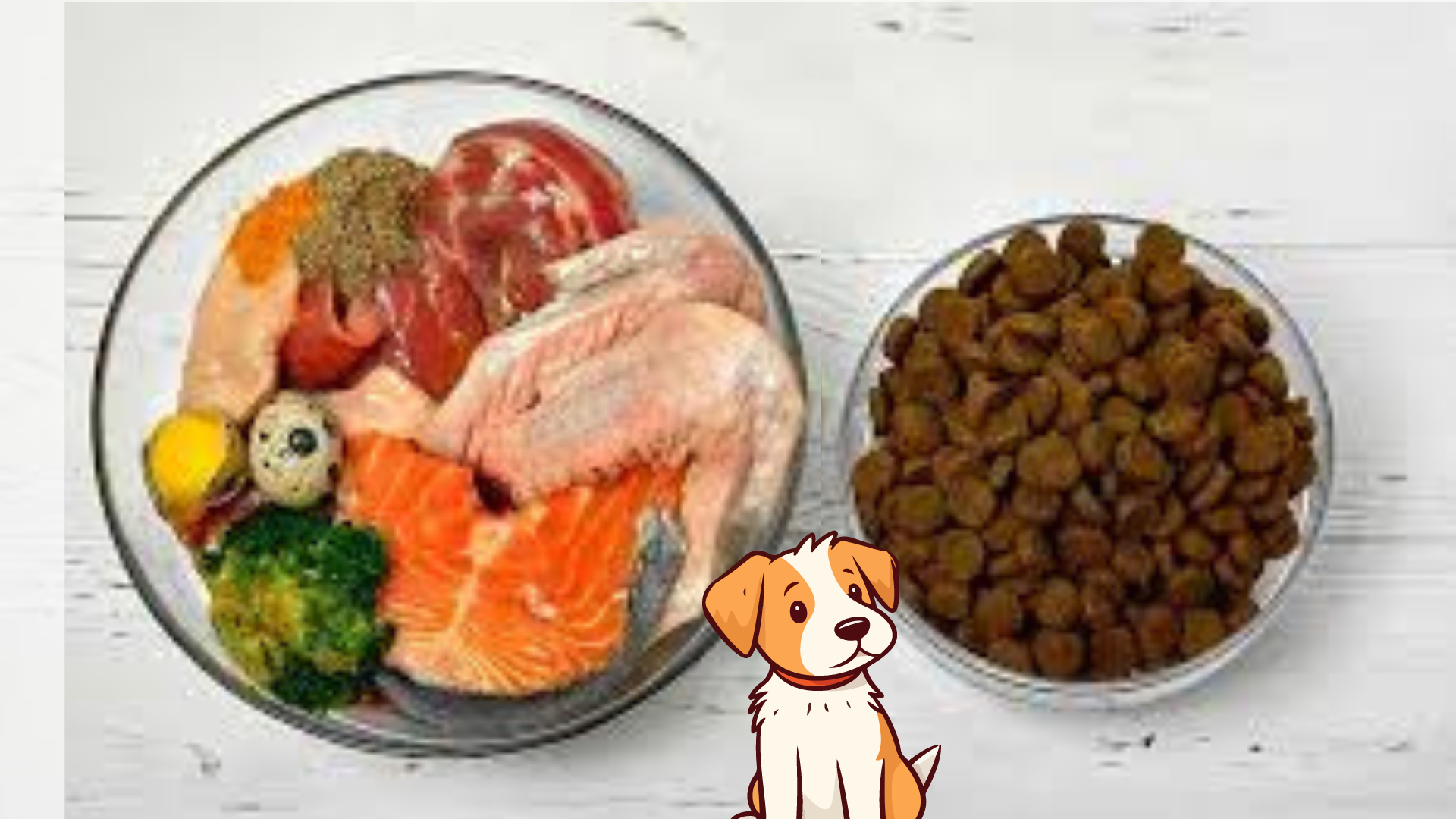 Which is Better For Your Pet - Homemade Vs Outside Food