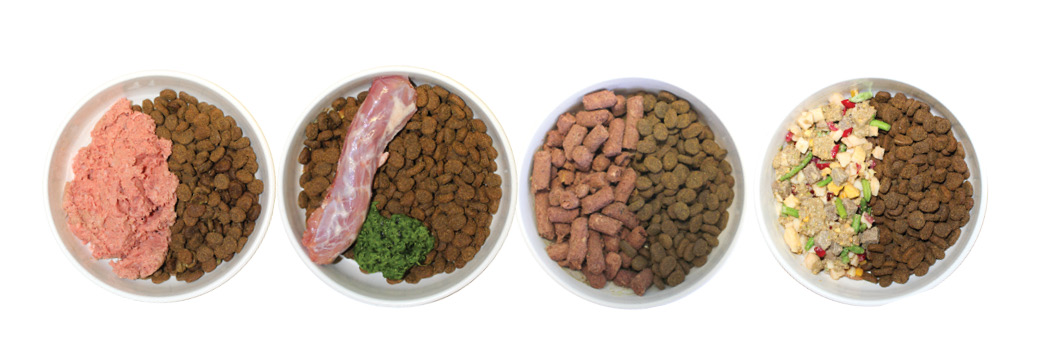 Switching Between Different Dog Food Type